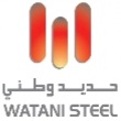 شركة حديد وطني