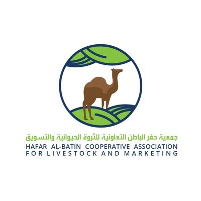 جمعية حفر الباطن للثروة المعدنية